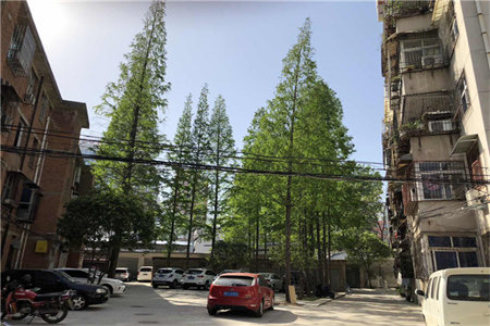 密州报社小区3室2厅1卫110m2精装修